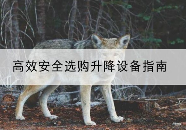 若尔盖升降货梯厂家推荐-*安全选购升降设备指南