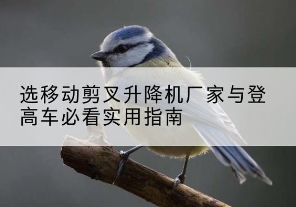 若尔盖电动升降机厂家-选移动剪叉升降机厂家与登高车必看实用指南