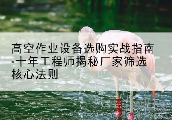 若尔盖剪叉式升降机厂家-高空作业设备选购实战指南-十年工程师揭秘厂家筛选核心法则